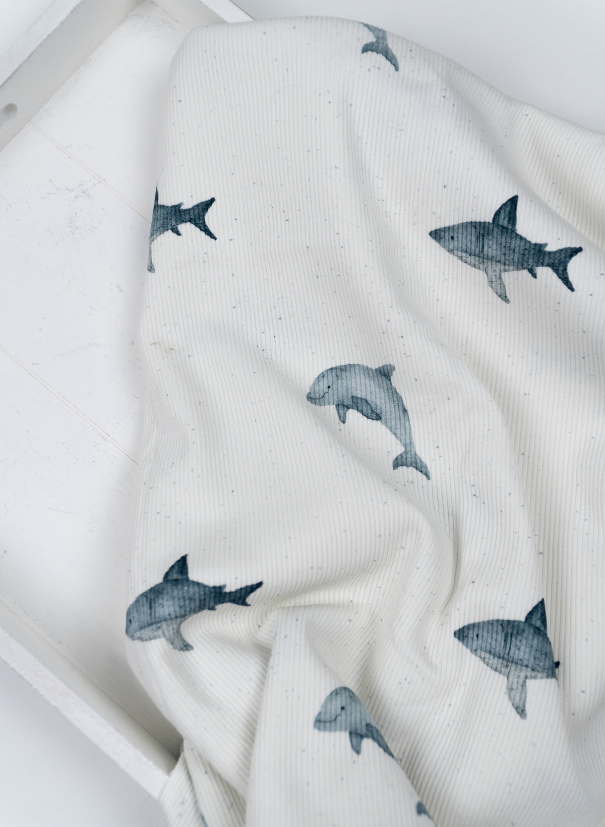 Meerestiere- Rib Jersey