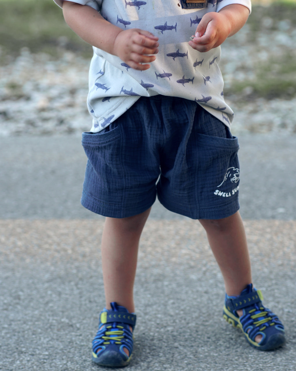 Beachshorts Loriot mit Teilung